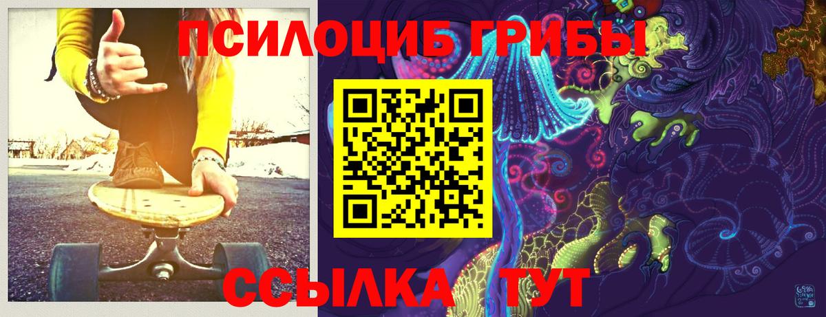 Галлюциногенные грибы GOLDEN TEACHER Муром