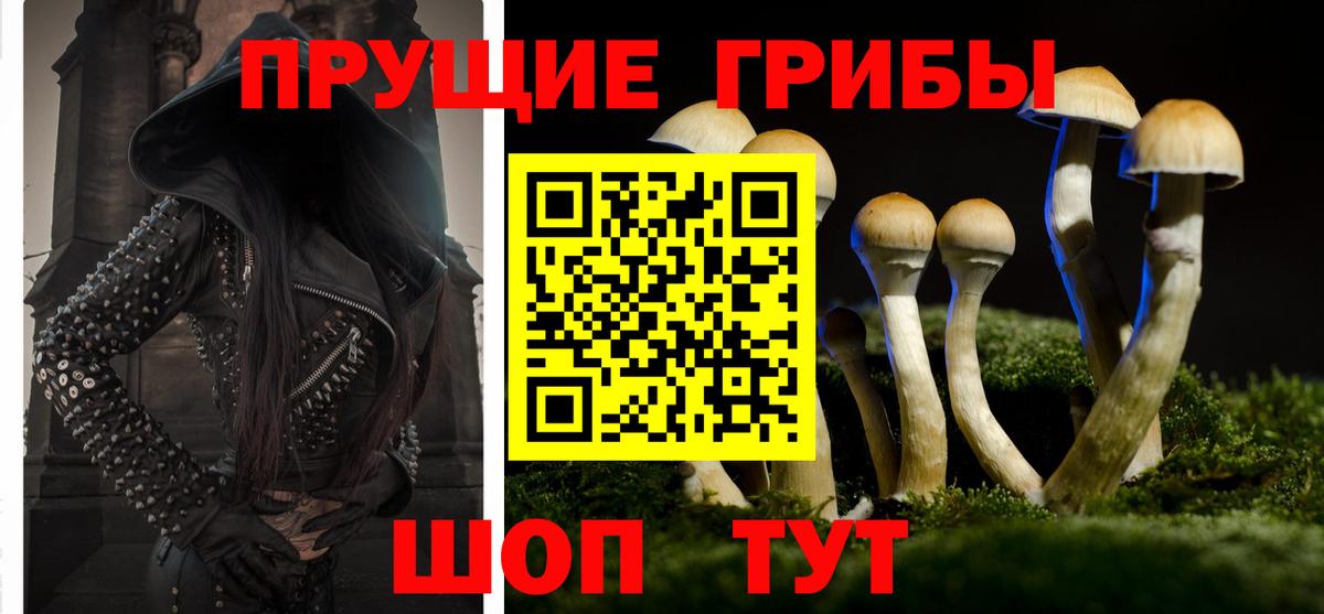 Муром  Галлюциногенные грибы Cubensis  Вход с VPN 
